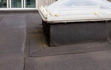 disadvantages of Hutton Magna flat roofs
