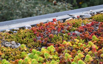the cost of Hutton Magna green roof installation