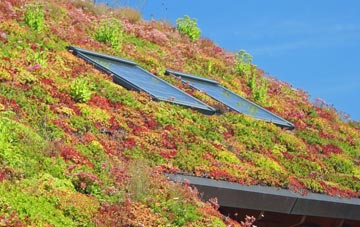 Hutton Magna living roof systems